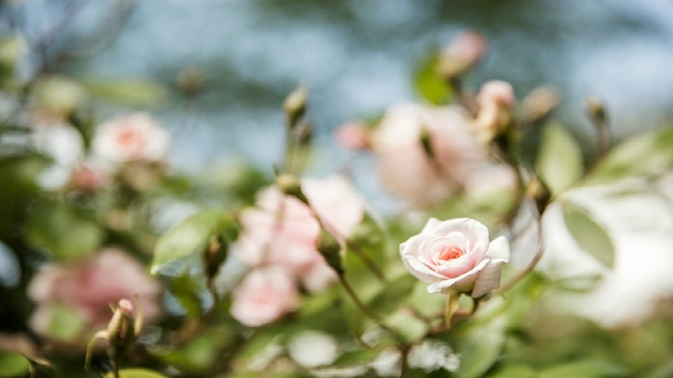What's On in London in May